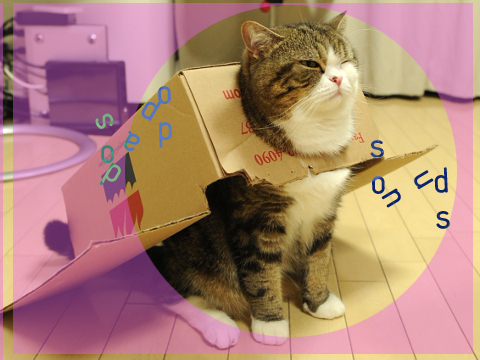 sodapop cat