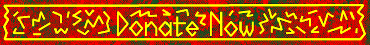 Dub-Proton-promo-banner_donate_now_720